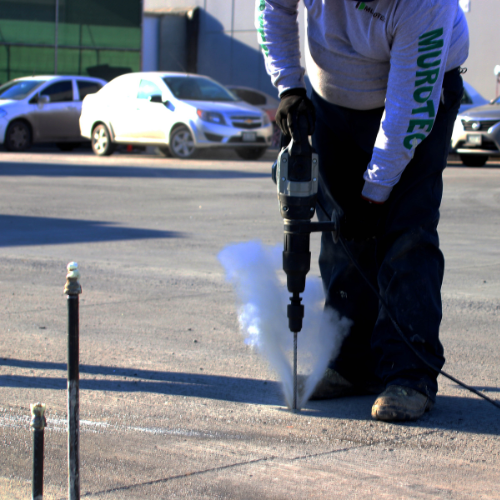 Proyecto Vesta Florido - Imagen 5